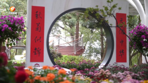 戴震公园：旧貌焕新颜 国庆假期分外“红”
