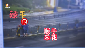 鲜花扮靓城市 切莫伸手采摘