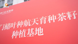 民生热线2024年11月2日