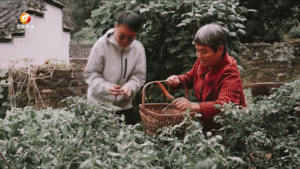 柯晖: 行走在乡村振兴热土上的新审计人