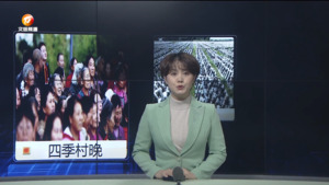 民生热线2024年11月3日.