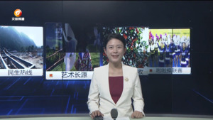 民生热线2024年11月4日