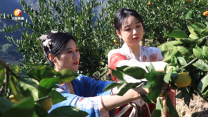 柑桔节喜庆丰收 “甜蜜”产业再升级