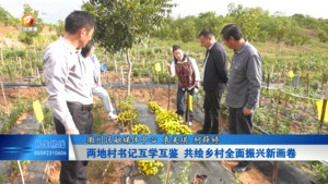 两地村书记互学互鉴 共绘乡村全面振兴新画卷
