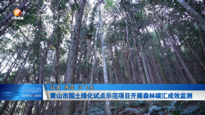 黄山市国土绿化试点示范项目开展森林碳汇成效监测