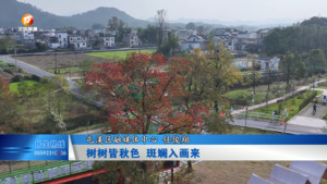 树树皆秋色  斑斓入画来