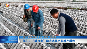 祁门：“满格电”助力木耳产业增产增收