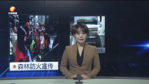 民生热线2024年11月14日.