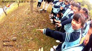 小学生发现刺猬 第一时间送派出所
