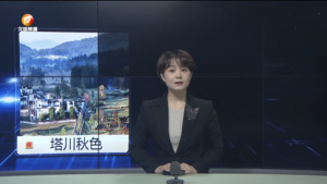 民生热线2024年11月15日