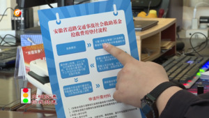 驾车肇事逃逸 民警“抽丝剥茧”终破获