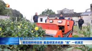 菊花秸秆咋还田 歙县研发农机新“宠”一机搞定
