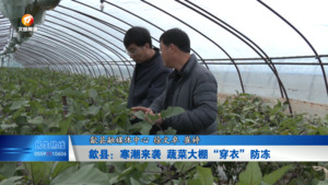 歙县：寒潮来袭 蔬菜大棚“穿衣”防冻