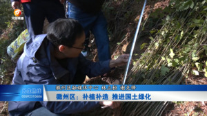 徽州区：补植补造 推进国土绿化