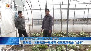 徽州区：农技专家一线指导 保障蔬菜安全“过冬”