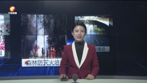 民生热线2024年12月3日