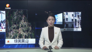 民生热线2024年12月7日