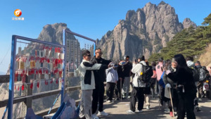 民生热线2024年12月10日