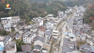 民生热线2024年12月12日