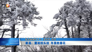 歙县：雾凇枝头挂  冬景胜春花