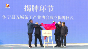 休宁：首届五城茶干产业发展大会举行