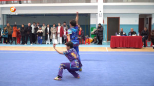 黄山市“武状元”杯传统武术比赛举行