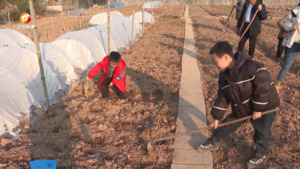 共享菜园：家门口的“开心农场”