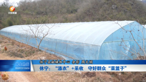 休宁：“添衣”+“采收” 守好群众“菜篮子”
