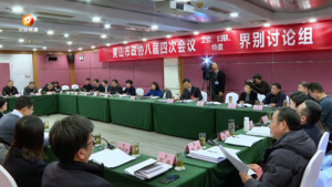 人大代表政协委员热议《政府工作报告》