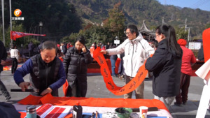 中医下乡惠民生 翰墨飘香添年味