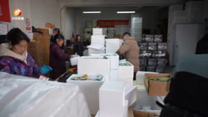 网上年货节 电商企业销售忙