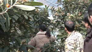 民生热线2025年2月10日