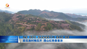 卖花渔村梅花开 漫山红艳春意浓