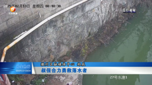 叔侄合力救落水者