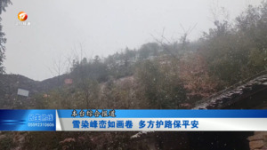 雪染峰峦如画卷 多方护路保平安