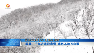 歙县：千年古道迎春雪  寒色不遮万山翠