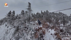 国网休宁县供电公司：雪后特巡保障线路安全