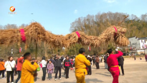 草龙起舞祈丰年 非遗民俗 传古韵