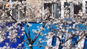 民生热线2025年3月5日