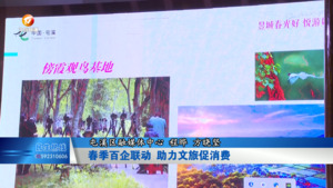 春季百企联动 助力文旅促消费