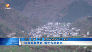 法官签名结对 保护古树名木