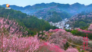 洪吉会：为卖花渔村添彩增色