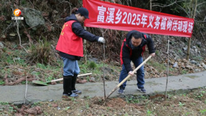 开展义务植树活动 为美丽徽州增添新绿