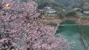 春花烂漫景如画