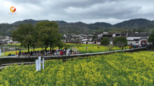 今春 我市五类文旅产品等你来玩！