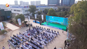 休宁松萝第七届春茶会举行