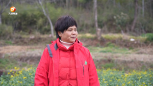 巾帼绽芳华 花开满庭芳
朱爱珍：“笋姐”的乡村致富路