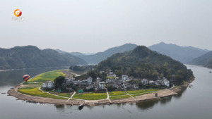 深渡镇：国土绿化绘就生态与经济双赢画卷