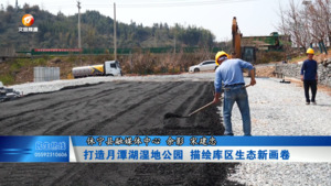 打造月潭湖湿地公园  描绘库区生态新画卷
