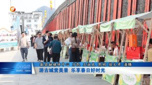 游古城赏美景 乐享春日好时光